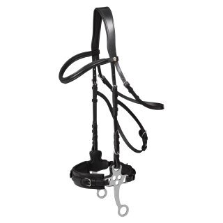 WALDHAUSEN X-LINE HACKAMORE TRENSENZAUM