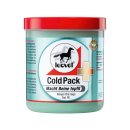 Cold Pack 500ml Pferdesalbe Leovet
