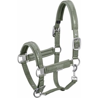 Halfter DOUBLEPIN CROCO   Platinum 22