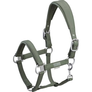 Halfter DOUBLEPIN LEATHER   Platinum 22