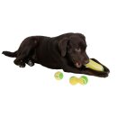 Tennisstab Hundespielzeug