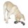 Knotentau aus Baumwolle 20cm Hundespielzeug