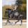 WALDHAUSEN HUFGLOCKEN PEGASUS