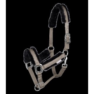WALDHAUSEN HALFTER PEGASUS