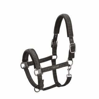 Eskadron Essence Halfter DOUBLEPIN VELVET STAMP darkolive W