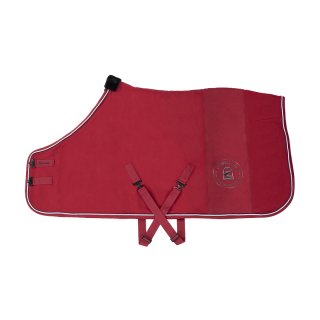 salsa red