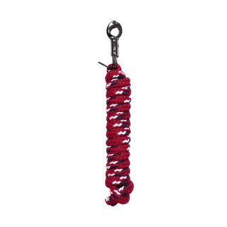 salsa red
