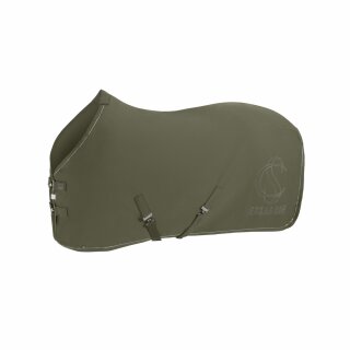 dusty olive