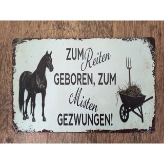 Zum Reiten Gb...